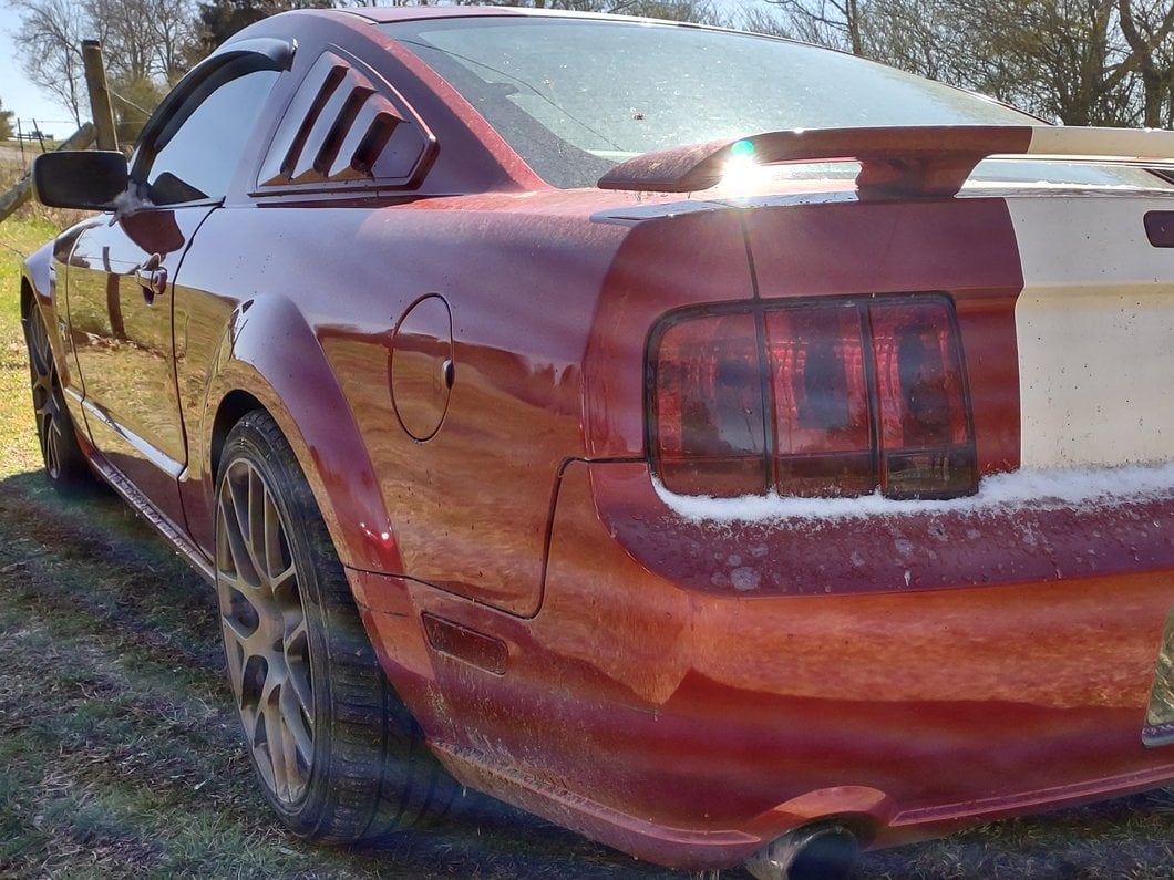 C&L Drag Spec Lowering Springs (05-14 Mustang GT)