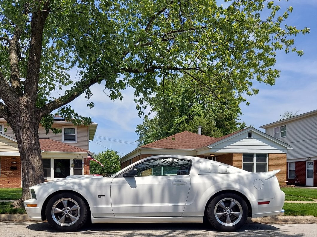 C&L Drag Spec Lowering Springs (05-14 Mustang GT)