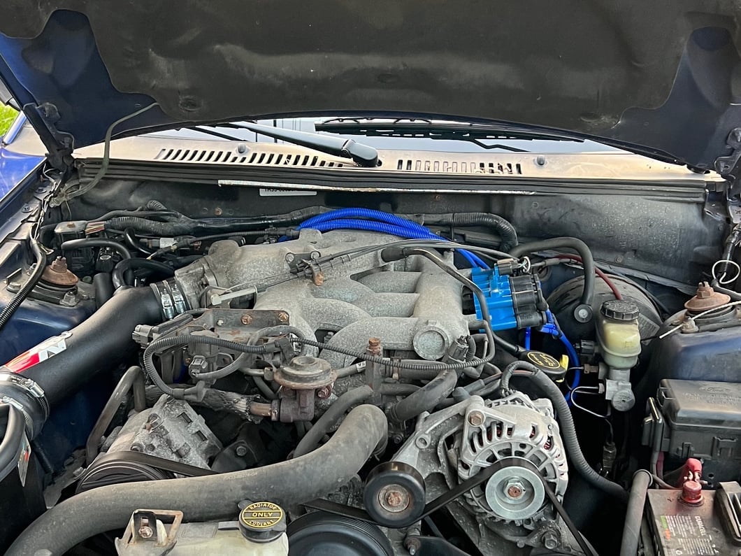 C&L Blue Lightning High Output Ignition Coil (01-04 Mustang V6)