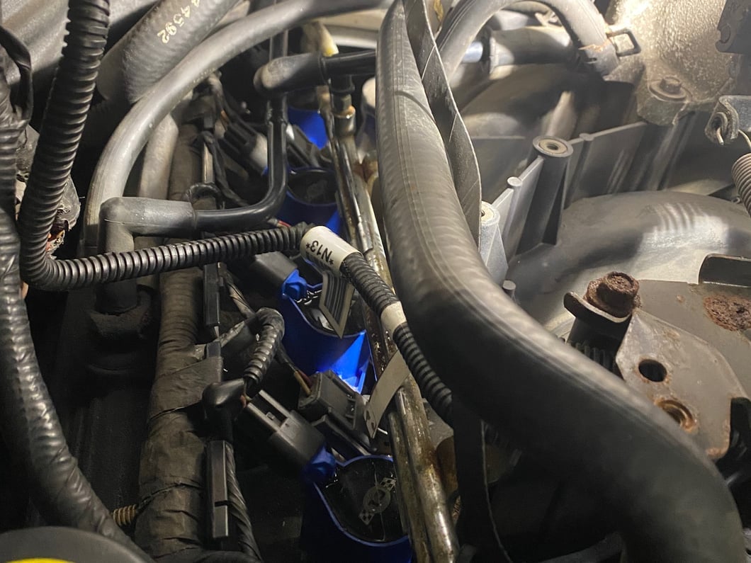 C&L Blue Lightning High Output Ignition Coil Set (98-03 5.4L F-150; 01-10 4.6L F-150)