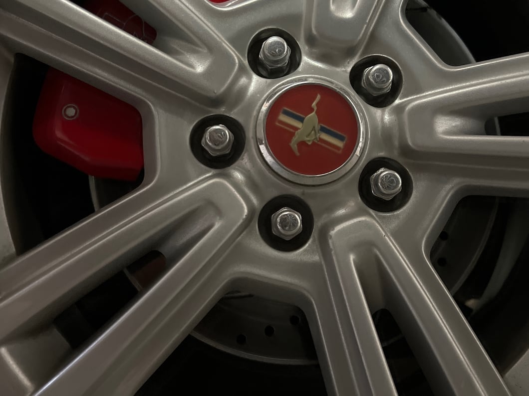C&L Super Sport Brake Rotor and Pad Kit; Rear (05-10 Mustang)