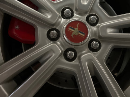 C&L Super Sport Brake Rotor and Pad Kit; Rear (05-10 Mustang)
