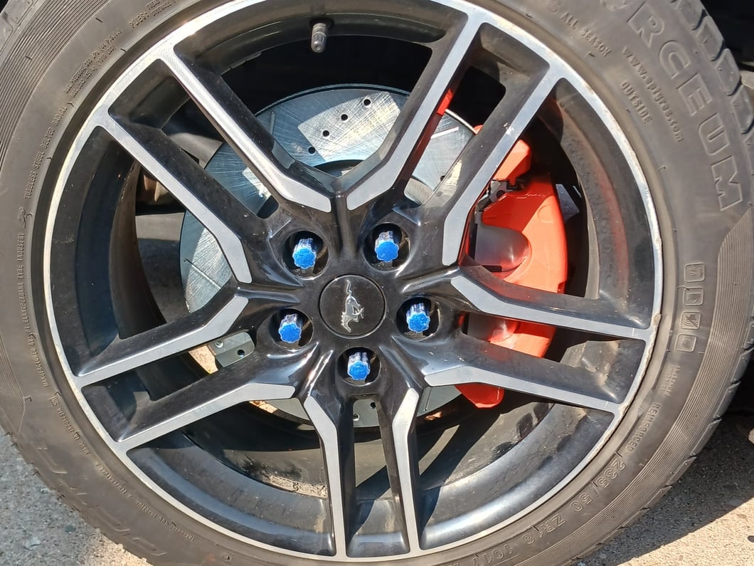 C&L Super Sport Cross-Drilled and Slotted Rotors; Front Pair (15-23 Mustang EcoBoost w/o Performance Pack, V6)