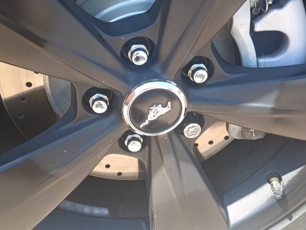 C&L Super Sport Brake Rotor and Pad Kit; Front (11-14 Mustang GT w/o Performance Pack)