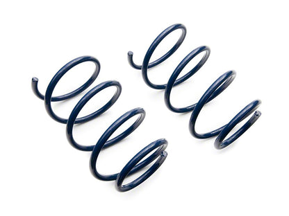 C&L Drag Spec Lowering Springs (05-14 Mustang GT)